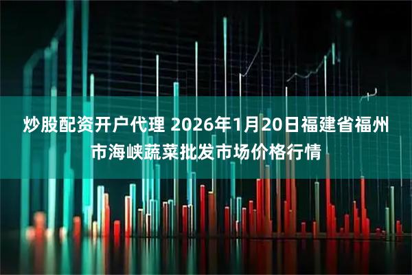 炒股配资开户代理 2026年1月20日福建省福州市海峡蔬菜批发市场价格行情